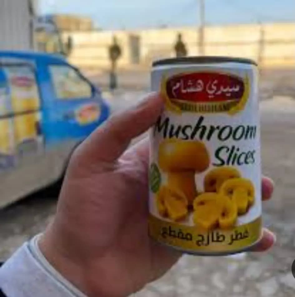 فطر مقطع - صورة 1