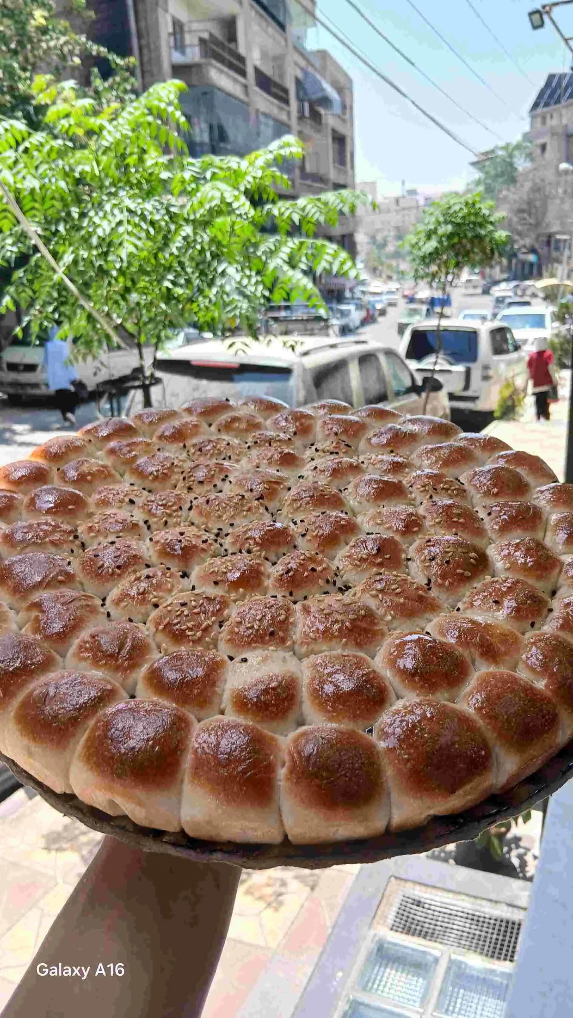 خلية نحل جبنه كيري - صورة 1