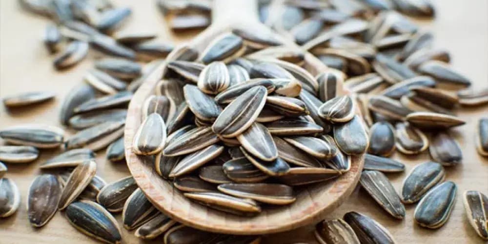 بزر دوار بدون ملح - صورة 1