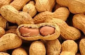 فستق عبيد بقشرو - صورة 1