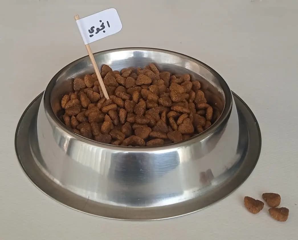 انجوي (بديل غوبي) - 500غ - صورة 1